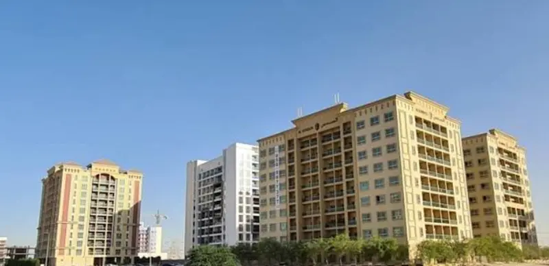 dlrc image